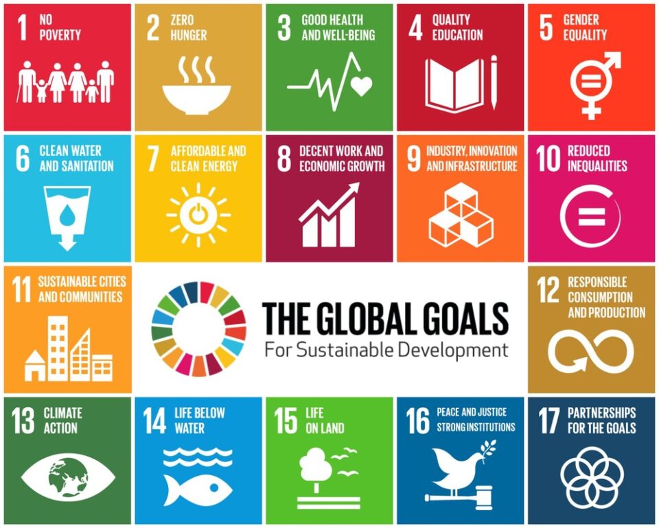 sustainable development goals set out by the united nations