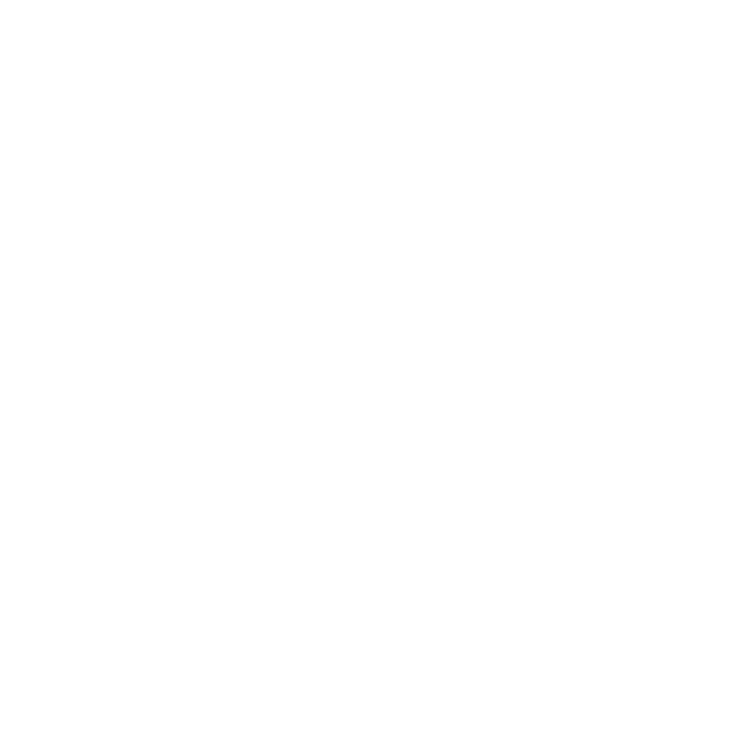 Checklist Icon