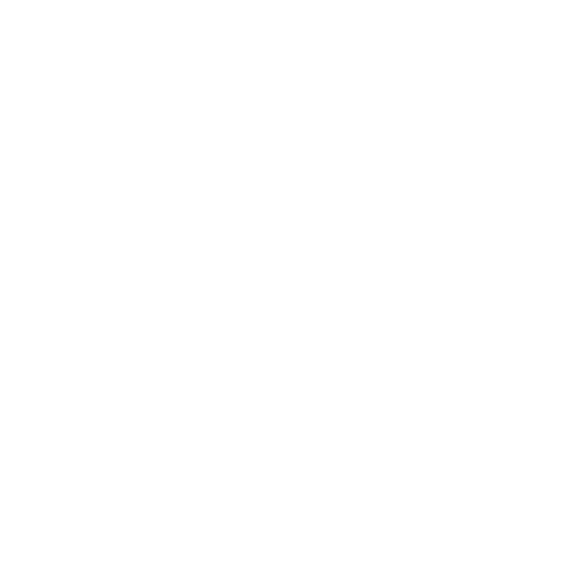 Mainenance white icon