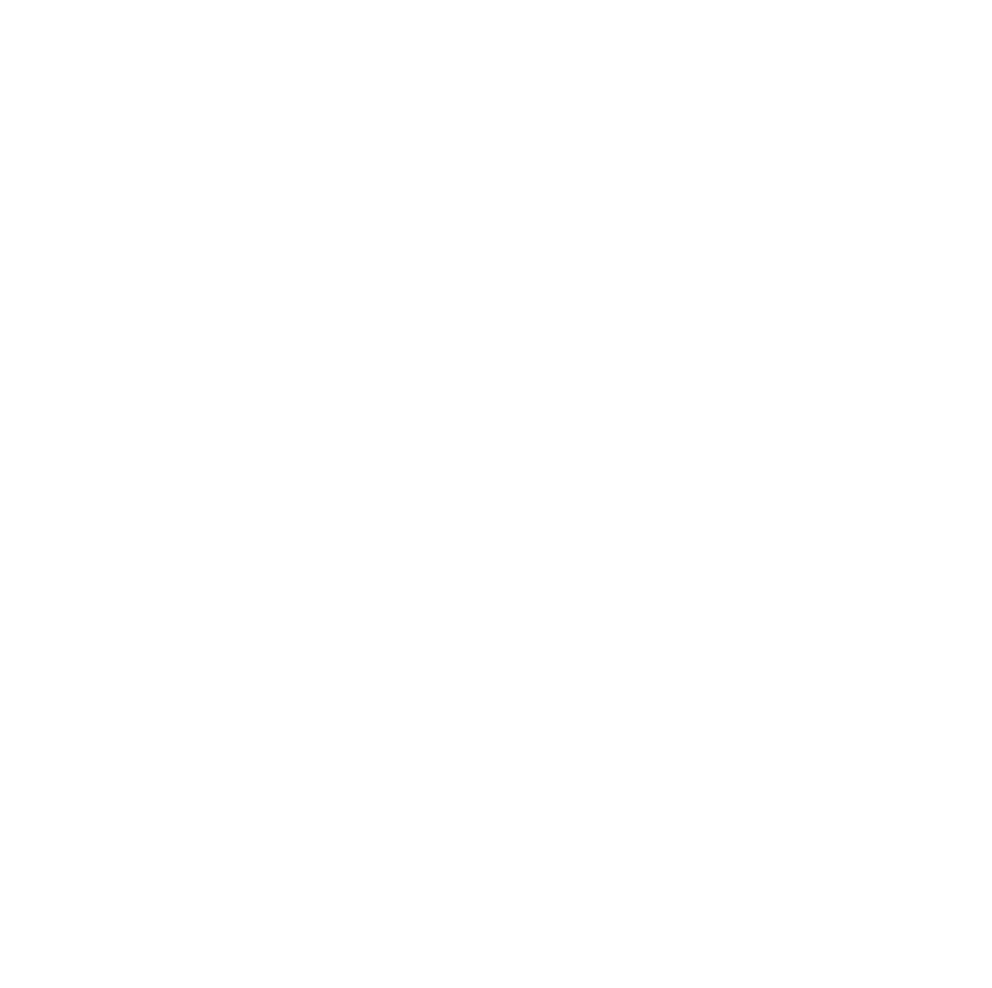 Partnership icon